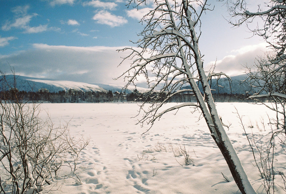 Frozen lake and snowy mountains