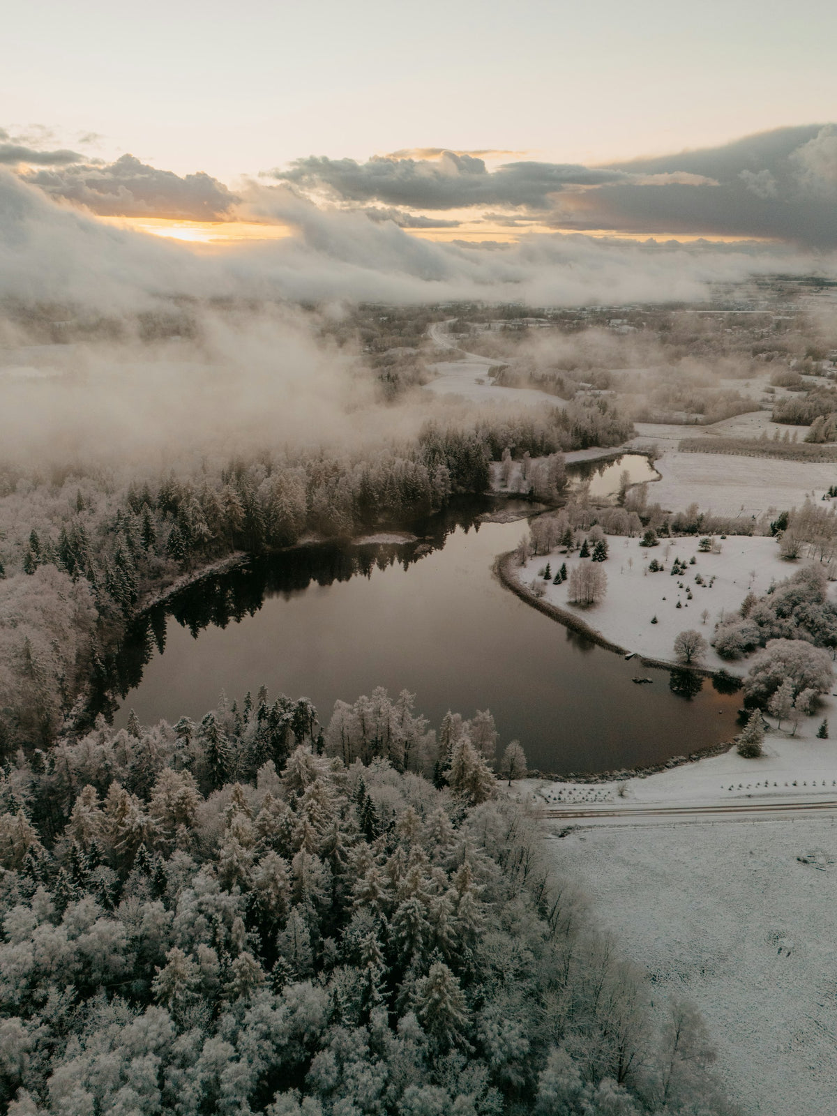 Snowy forest around a lake at sunrise
